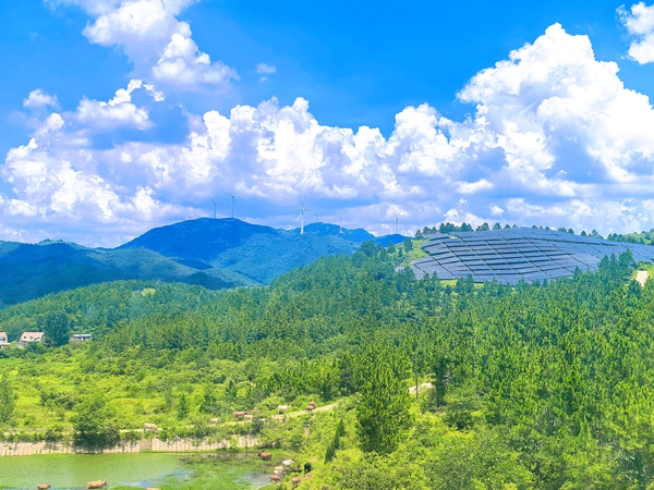 7-湖北广水景致一体发电站.jpg